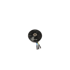 P100 Motor