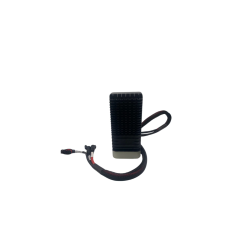 P100 ESC