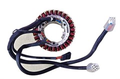 YC.DZ.GR000024 ESTATOR DO MAGNETO D6000I